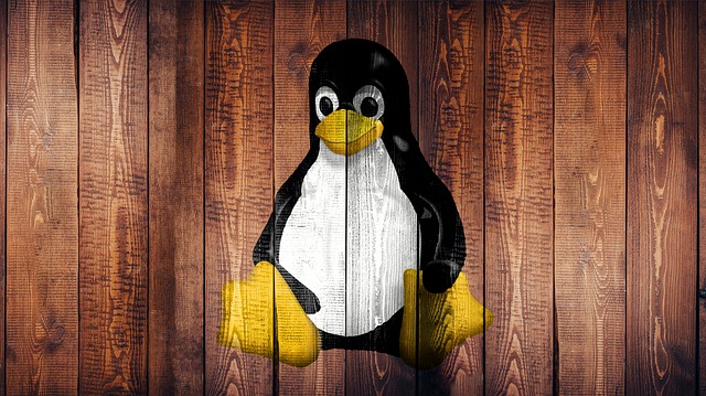 Linux Server